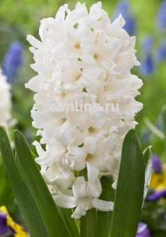 Изображение загружено обработкой по данным файла Excel