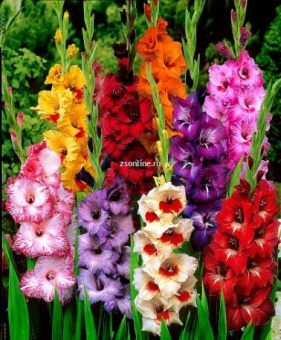 Изображение загружено обработкой по данным файла Excel