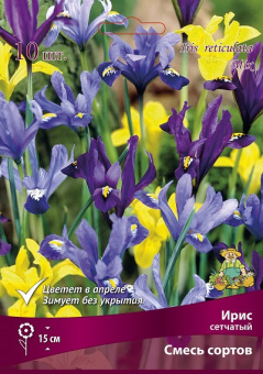Ирис сетчатый смесь окрасок 5-6/К 10шт