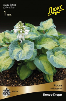 Изображение загружено обработкой по данным файла Excel