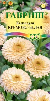 kremovo_belaya_mini4