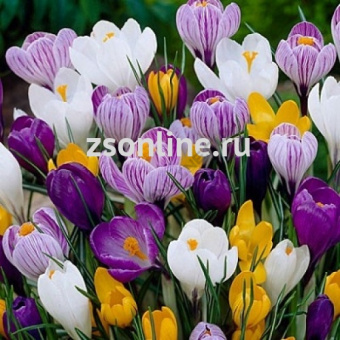 Изображение загружено обработкой по данным файла Excel