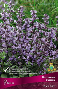 Котовник Фассена Кит Кэт/К