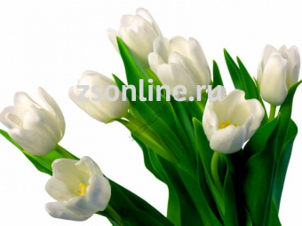 Изображение загружено обработкой по данным файла Excel