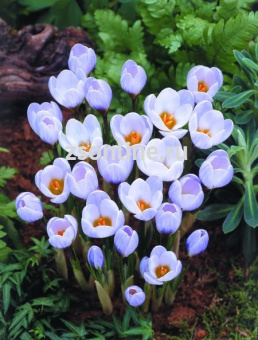 Изображение загружено обработкой по данным файла Excel