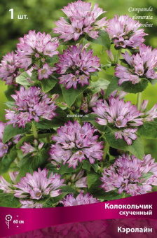 Изображение загружено обработкой по данным файла Excel