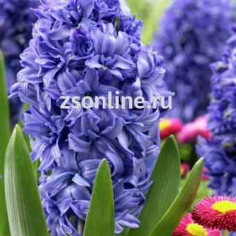 Изображение загружено обработкой по данным файла Excel