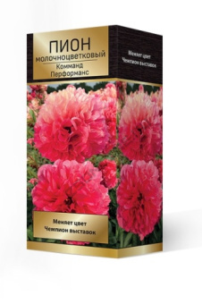 pion_moloch_kommand_performans_3D