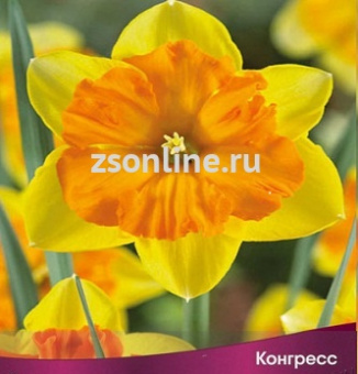 Изображение загружено обработкой по данным файла Excel