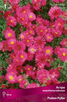 Изображение загружено обработкой по данным файла Excel