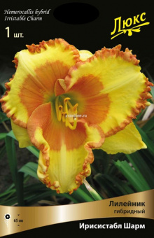 Изображение загружено обработкой по данным файла Excel