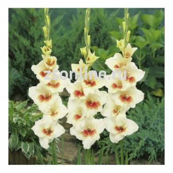 Изображение загружено обработкой по данным файла Excel