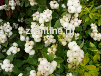 Изображение загружено обработкой по данным файла Excel