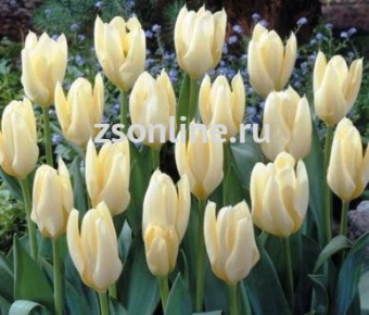 Изображение загружено обработкой по данным файла Excel