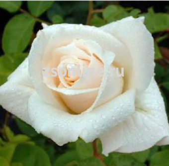 Изображение загружено обработкой по данным файла Excel