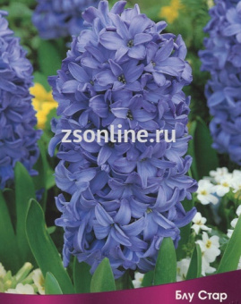 Изображение загружено обработкой по данным файла Excel