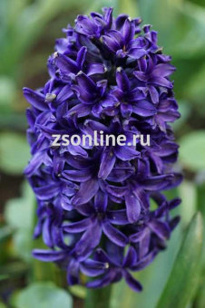 Изображение загружено обработкой по данным файла Excel