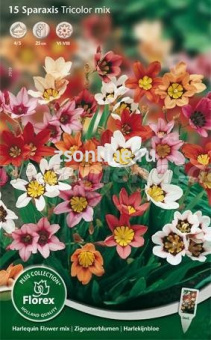 Изображение загружено обработкой по данным файла Excel