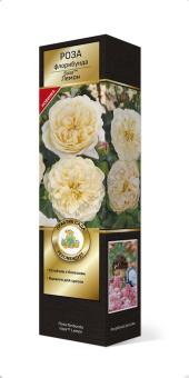 Роза флорибунда Ваза Лемон