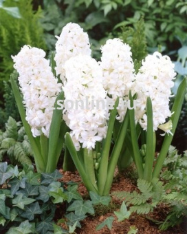 Изображение загружено обработкой по данным файла Excel