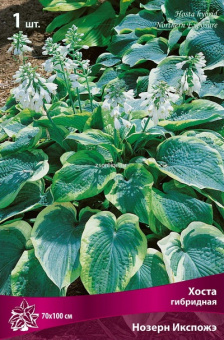 Изображение загружено обработкой по данным файла Excel