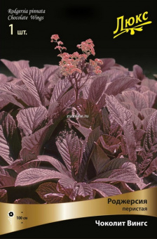 Изображение загружено обработкой по данным файла Excel