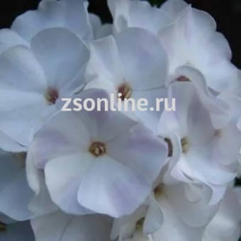 Изображение загружено обработкой по данным файла Excel