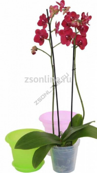Кашпо пластиковое Классика 3л для орхидеи