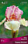 Ирис бородатый Стерлинг Мистресс (верхние лепестки жемчужно-розовые,нижние кремово-жёлтые с чуть заметной розовой каймой) 1шт