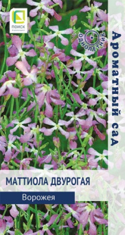 mattiola_dvurogaya_vorozheya