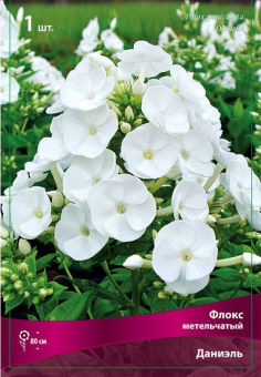 Изображение загружено обработкой по данным файла Excel