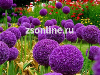 Изображение загружено обработкой по данным файла Excel