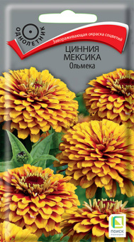 Цинния Мексика Ольмека (ЦВ