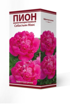 pion_moloch_sebastian_maac_3D