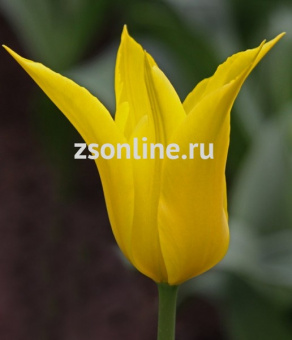 Изображение загружено обработкой по данным файла Excel