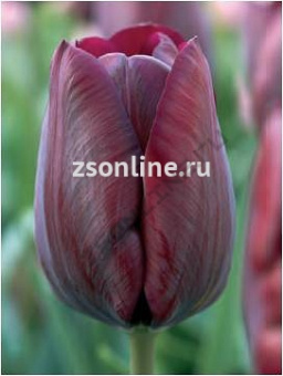 Изображение загружено обработкой по данным файла Excel