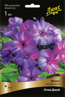 floks_metelch_otem_joy_kaper