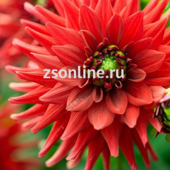 Изображение загружено обработкой по данным файла Excel