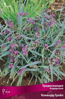 Изображение загружено обработкой по данным файла Excel