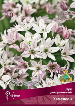 Лук декоративный Хамелеон 4-5/К 10шт