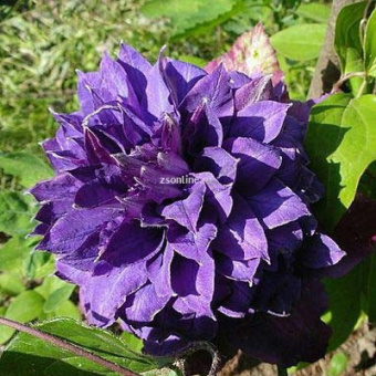 Изображение загружено обработкой по данным файла Excel