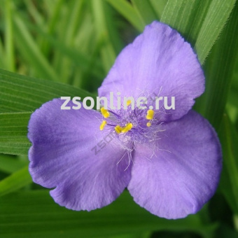 Изображение загружено обработкой по данным файла Excel