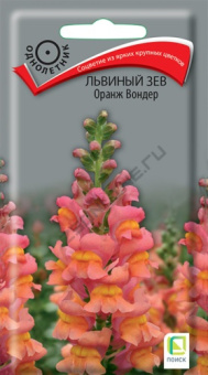 lviny_zev_orange_wonder