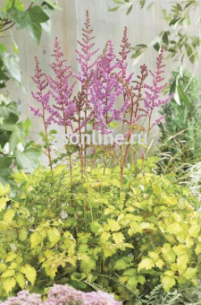 Изображение загружено обработкой по данным файла Excel