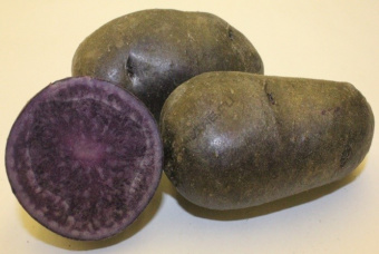 Картофель семенной Фиолетовый 1 кг