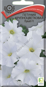 Петуния крупноцветковая Пуваб F1