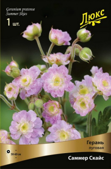 Изображение загружено обработкой по данным файла Excel