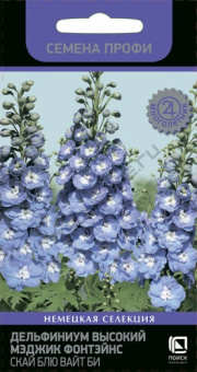 delfinium_visoky_magic_fontains_sky_blue_white_bi