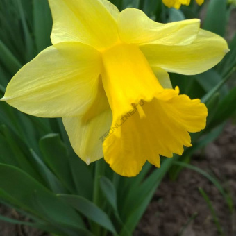 24403bc00204fbb79e3ca772096b31ca