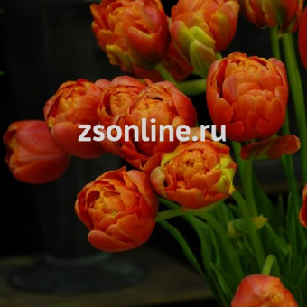 Изображение загружено обработкой по данным файла Excel